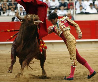 Como en lidia de toros